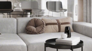 如果房子没有阳台该怎么装修客厅？